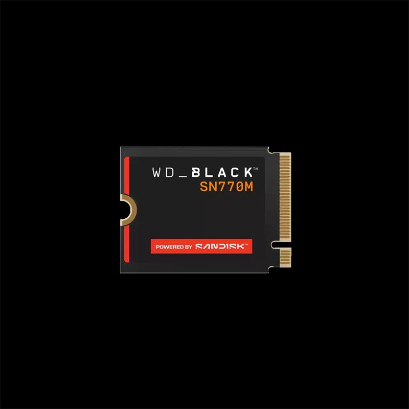 500 GB WD BLACK SN770M 5000MB/S 4000MB/S M2 2230 SSD WDBDNH5000ABK - Sandisk