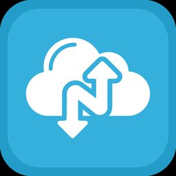 NARBULUT NB-BNPE-1Y100-050 BACKUPNOW 100GB PROFESSIONAL EDIT BASIC SUPPORT 1YEAR - NARBULUT